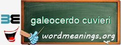 WordMeaning blackboard for galeocerdo cuvieri